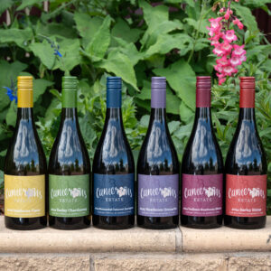 2024/25 Mixed Case - Sonya Semmens Fundraiser